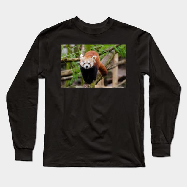 Red Panda Long Sleeve T-Shirt by kawaii_shop